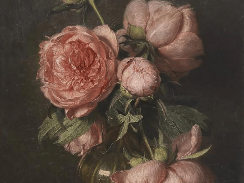 A Walkthrough of a Charlotte Mason Education. Principle&nbsp;09.